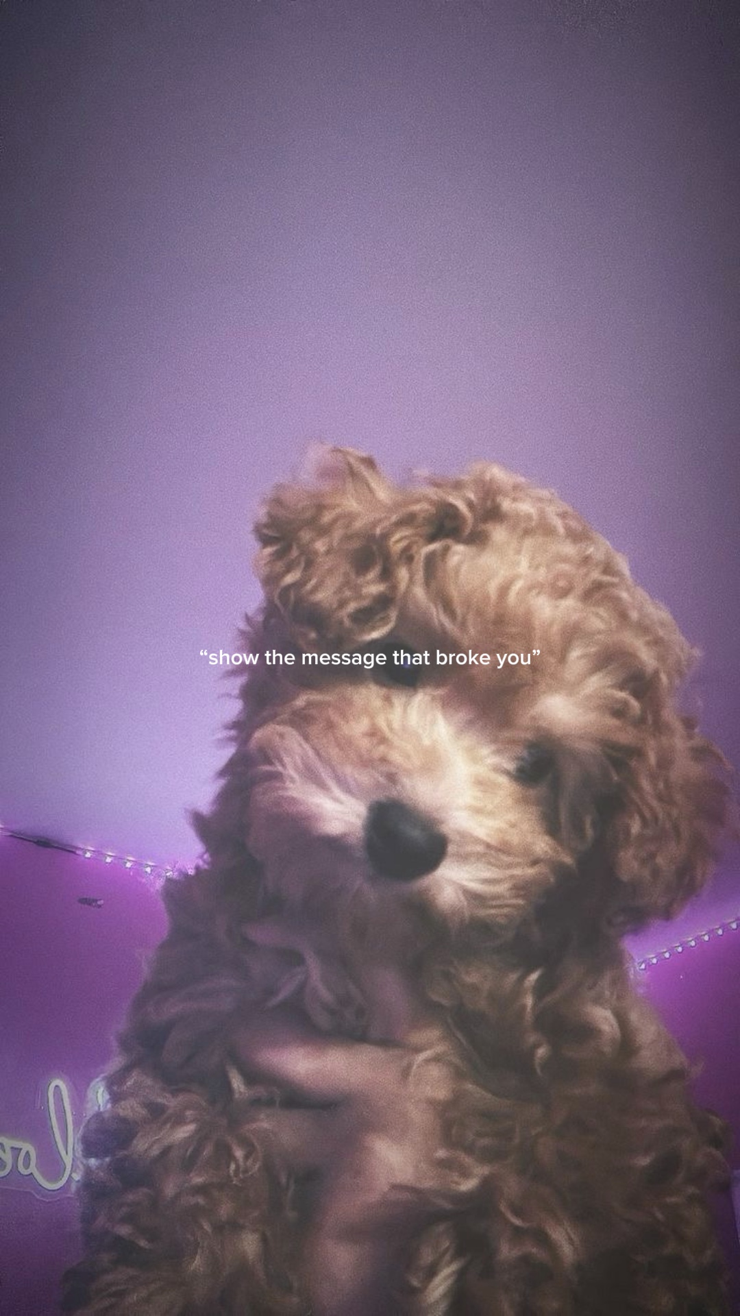 : (