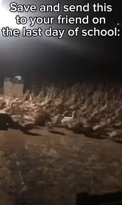 Duck Stampede