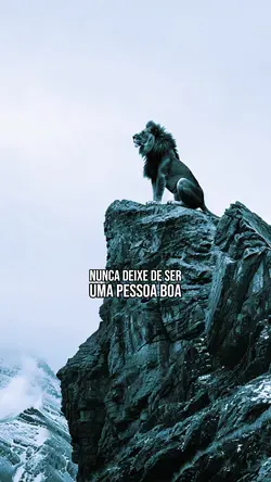 BONDADE NO CORAÇÃO 