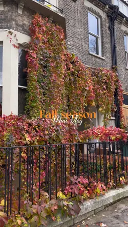 Fall season 