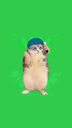 Cat GF
