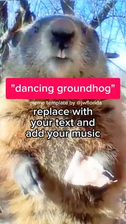 dancing groundhog