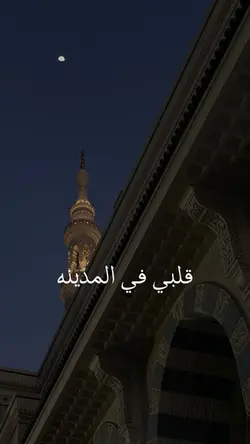 قلبي في المدينه 