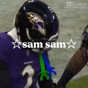 Baltimore Ravens 