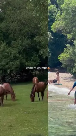 camera crumbs