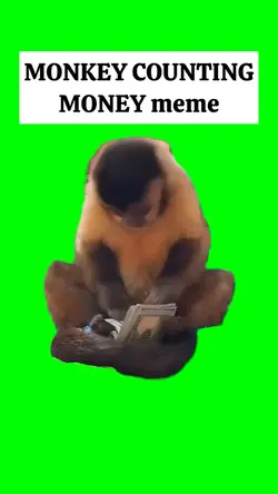 MONKEY COUNTING CASH