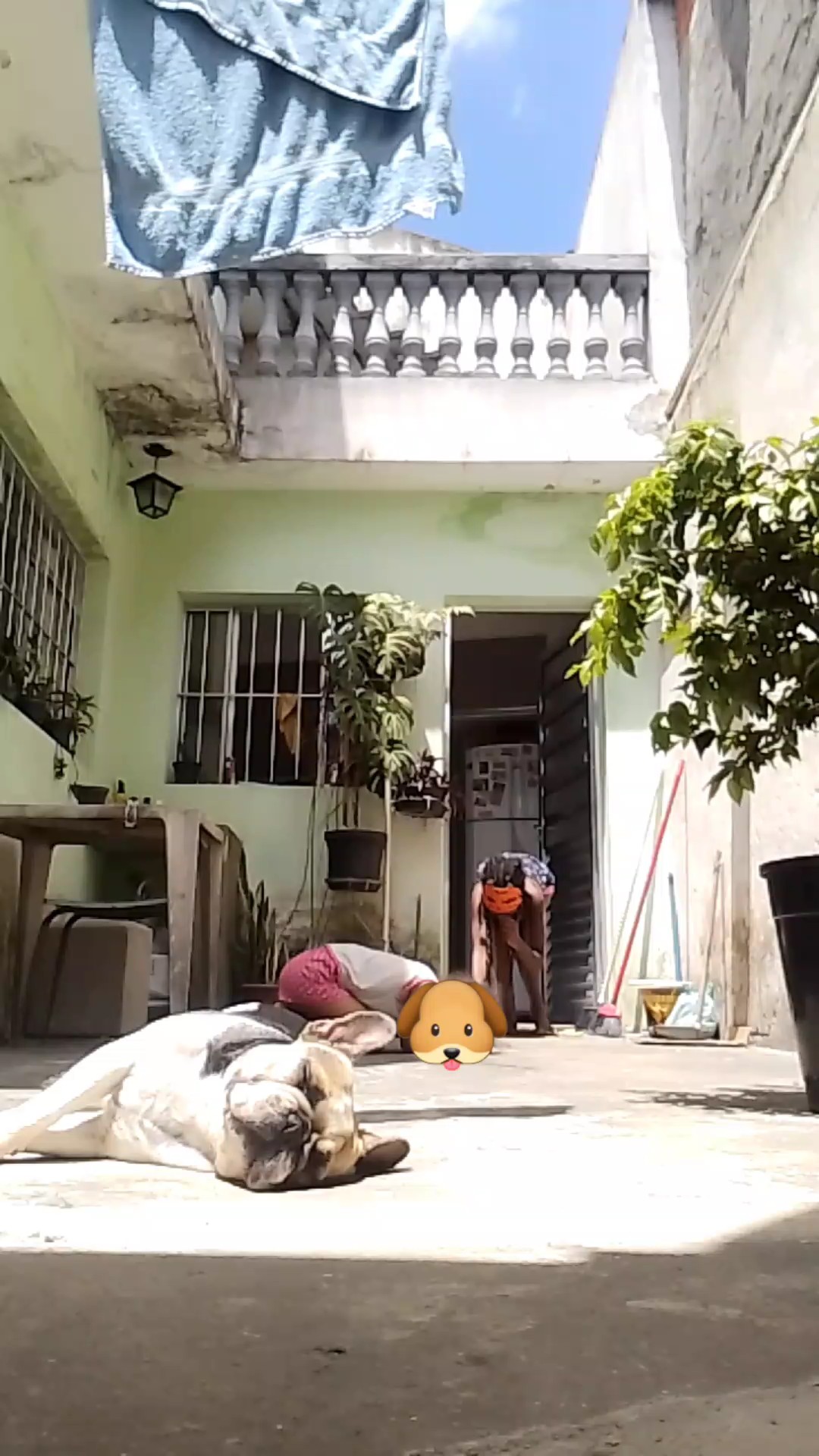 FINALMENTE TENHO MIN