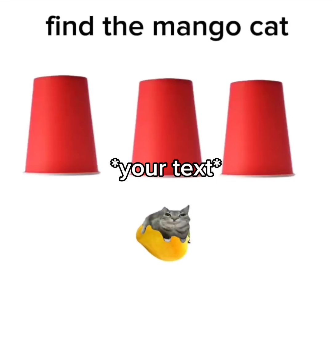 mango kedisi