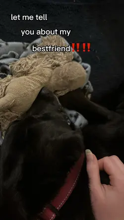 Olive’s my bff!!! 🥰