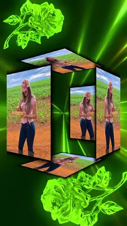 Novo Modelo 
