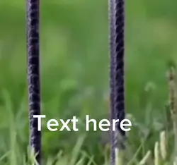 Scary meme 