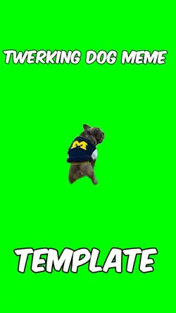 Twerking dog meme