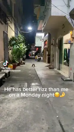So much rizz 😔🤌