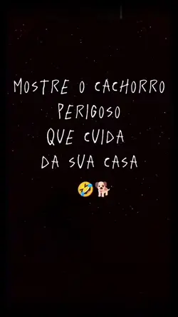 Pet Perigoso 