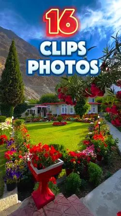 16 clips or photos 