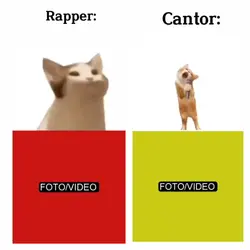 meme 