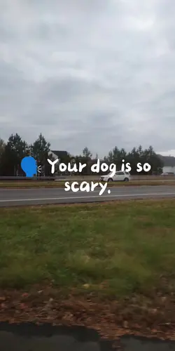 Your dog is scary