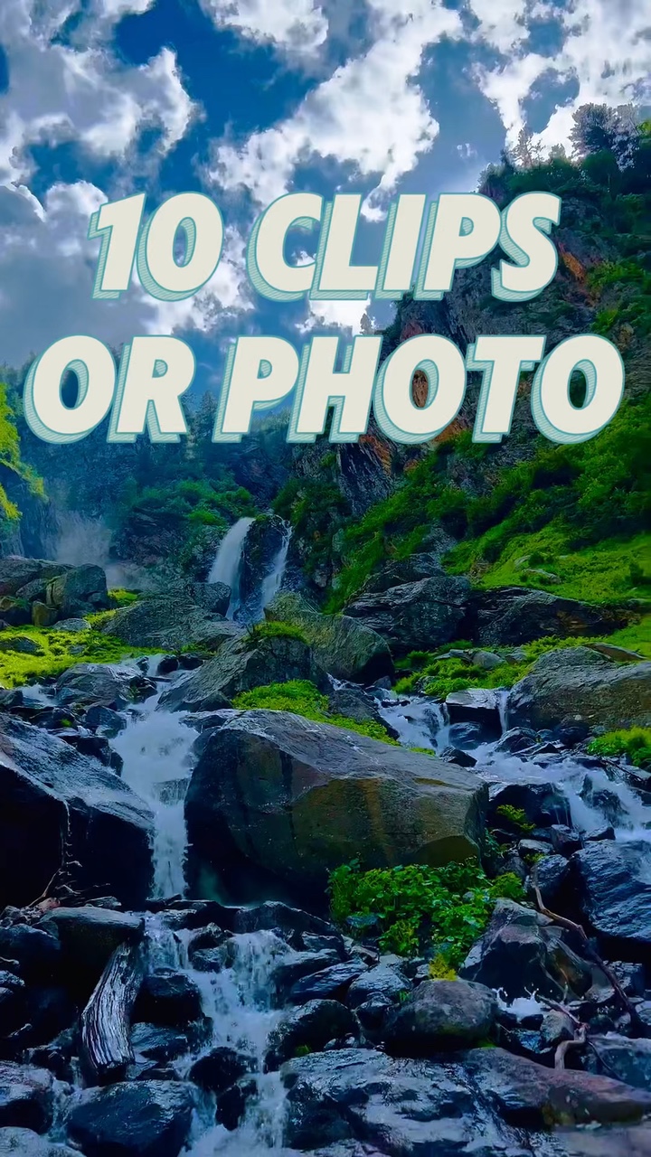 10 clips or photo 