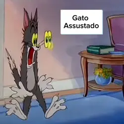 Gato Assustado