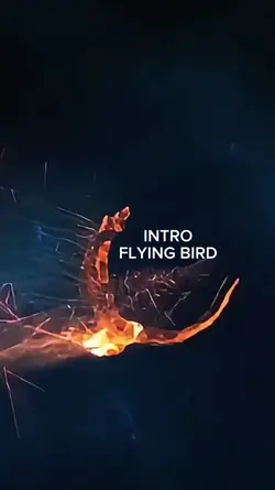 INTRO FLYING BIRD