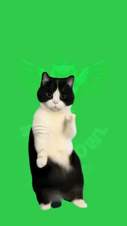 Funny Cat Dancing 