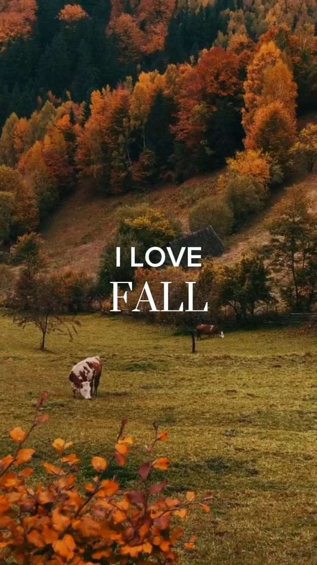 J'adore l'automne.