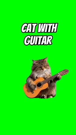 Cat with Guitar 
