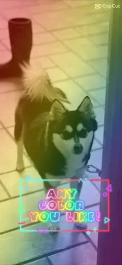 ANY color you like 😊