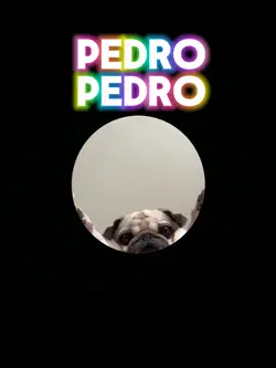 Pedro pedr