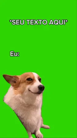 meme cachorro