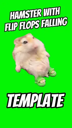 Hamster Falling