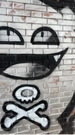 Ideal para veículos