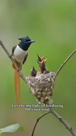 Fill your soul ❤️