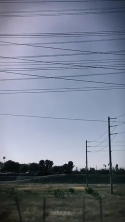 velocity