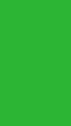 Vereadora Verde Edit
