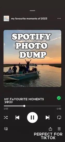 Spotify photo album🦋