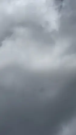 Pra dar sorte 🤪🍀