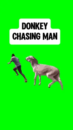 DONKEY CHASING