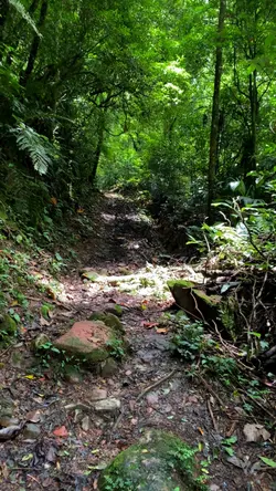 Cachoeira 