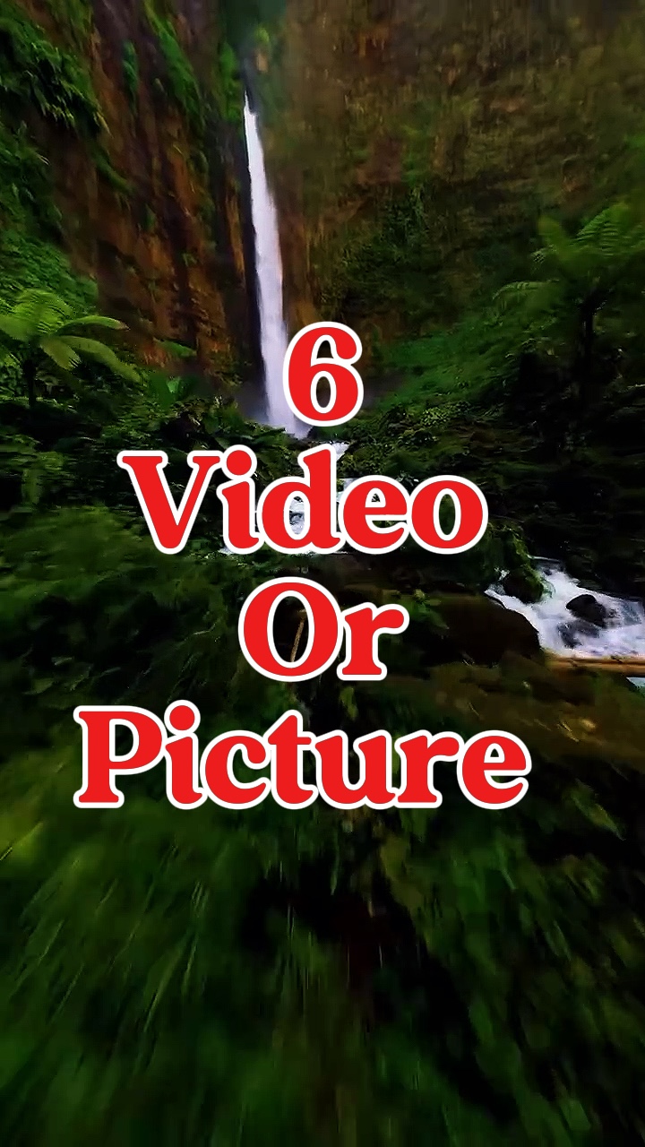 6 na video o larawan 