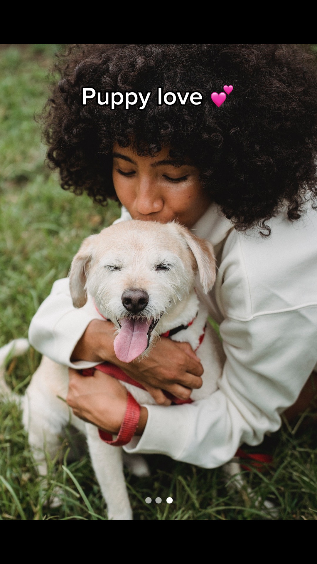 Amour de chiot