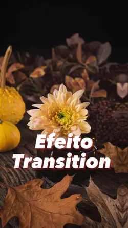 Efeito Transition 