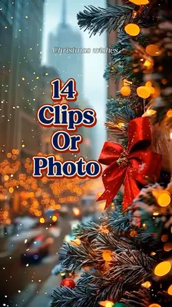 14 clips or photo