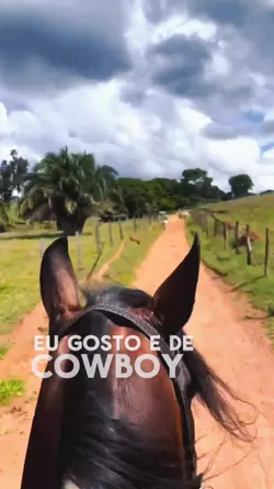 COWBOY