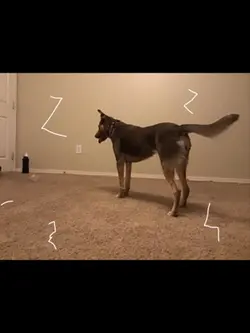 Breaking glass