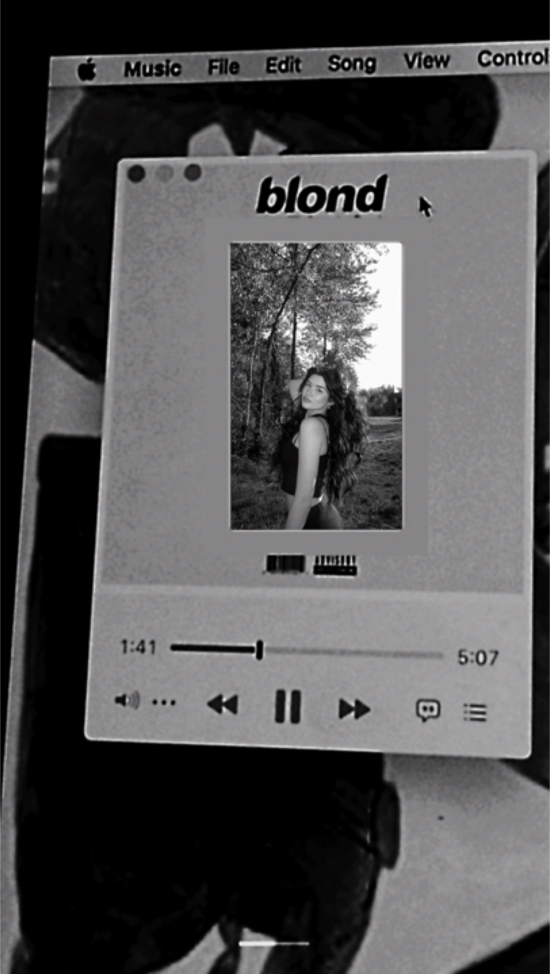 Cover Picture
