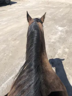 She’s Country 🤠