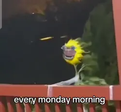 screaming meme