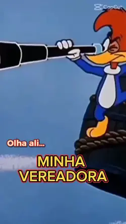 Minha Vereadora