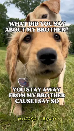 Brother MUFASA Trend